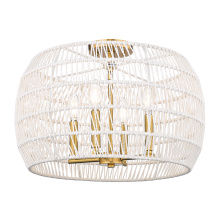 Golden 6808-4SF MBG-WR - Wry Lighting Ellie 4-light Semi-Flush Mount in Modern Brushed Gold